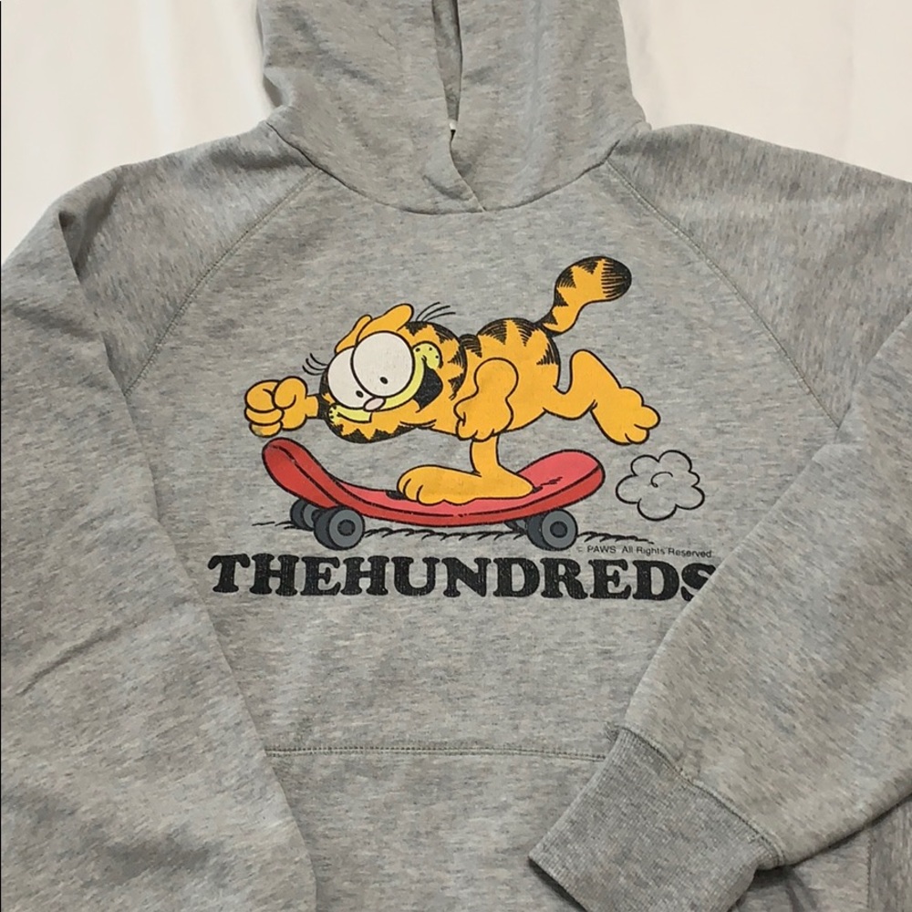 The hundreds Garfield hoodie